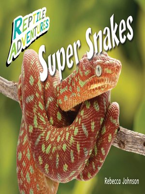 cover image of Super Snakes
